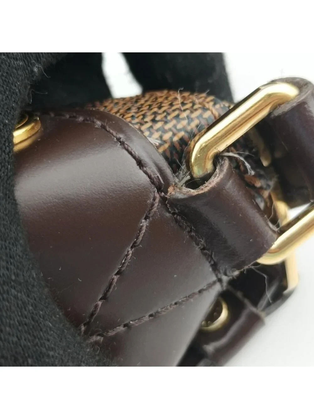 Louis Vuitton brand louis